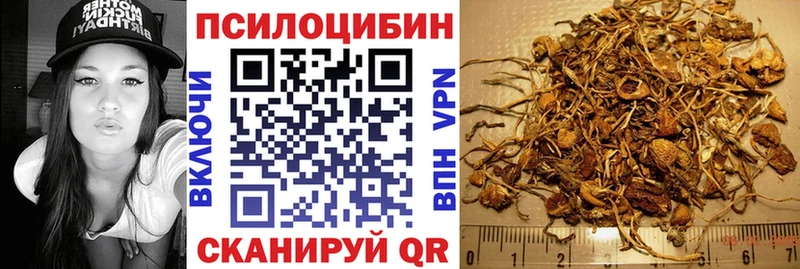что такое   darknet формула  Галлюциногенные грибы мицелий  Трубчевск 
